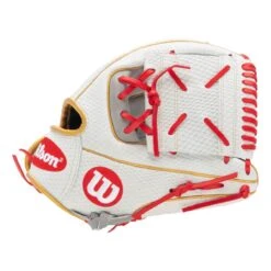 Wilson A2000 SnakeSkin KS7 Kelsey Stewart 12" Fastpitch Softball Glove -Baseball Glove Store 21df 04 22 wilson a2000 12 kelsey stewart spin control ks7 fastpitch softball glove wta20rf20ks7gm 31816 4 l