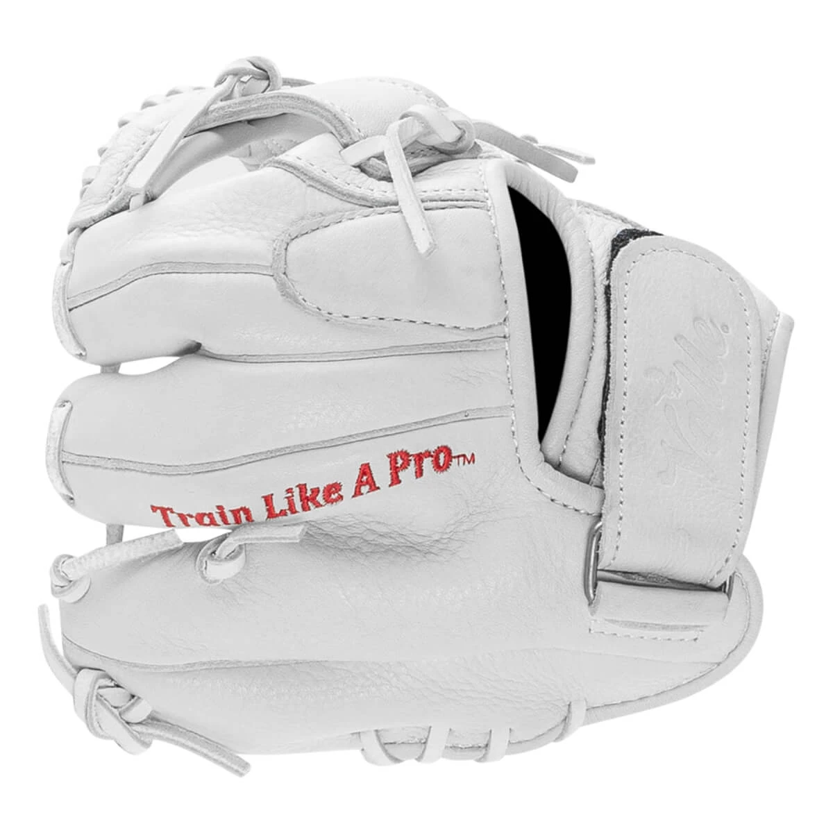 Valle Eagle 7" Infield Training Glove 5 Valle Eagle 7" Infield Training Glove - Image 5
