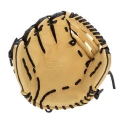 Akadema ProSoft Select Series 12" Baseball Glove -Baseball Glove Store e8b9 12 21 akadema prosoft select series 12 baseball glove asf414 35377 12 l